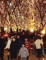 Sendai citizens enjoy illuminated trees
